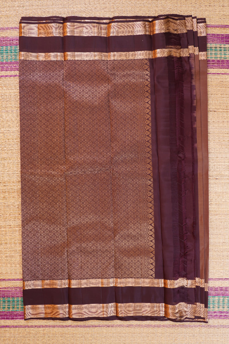 LIght chocolate with Dark Chocolate border Lightweight Kanchipuram Saree