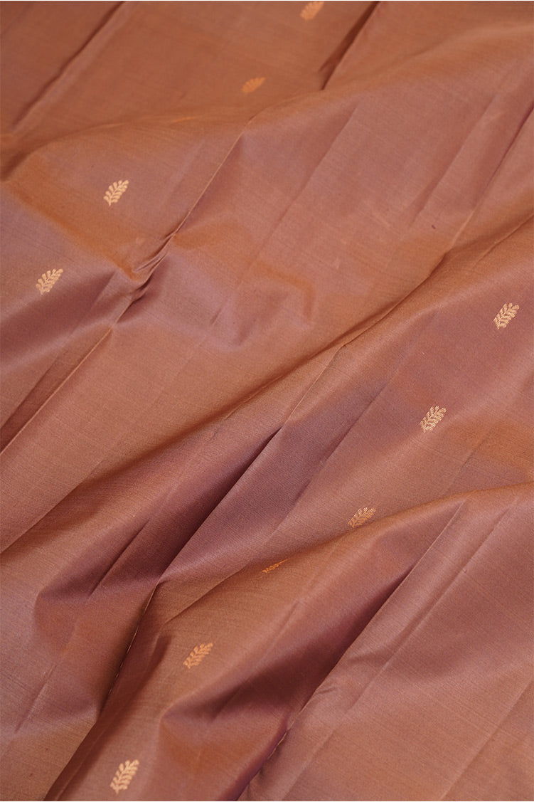 LIght chocolate with Dark Chocolate border Lightweight Kanchipuram Saree