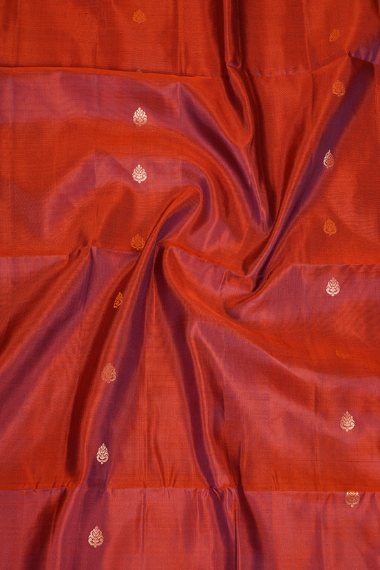 Burnt Orange Pure Lightweight Kanchipuram Silk Saree with Coffee Brown Borders