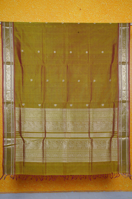 Mehindi Green Monotone Vintage Silk Cotton Saree