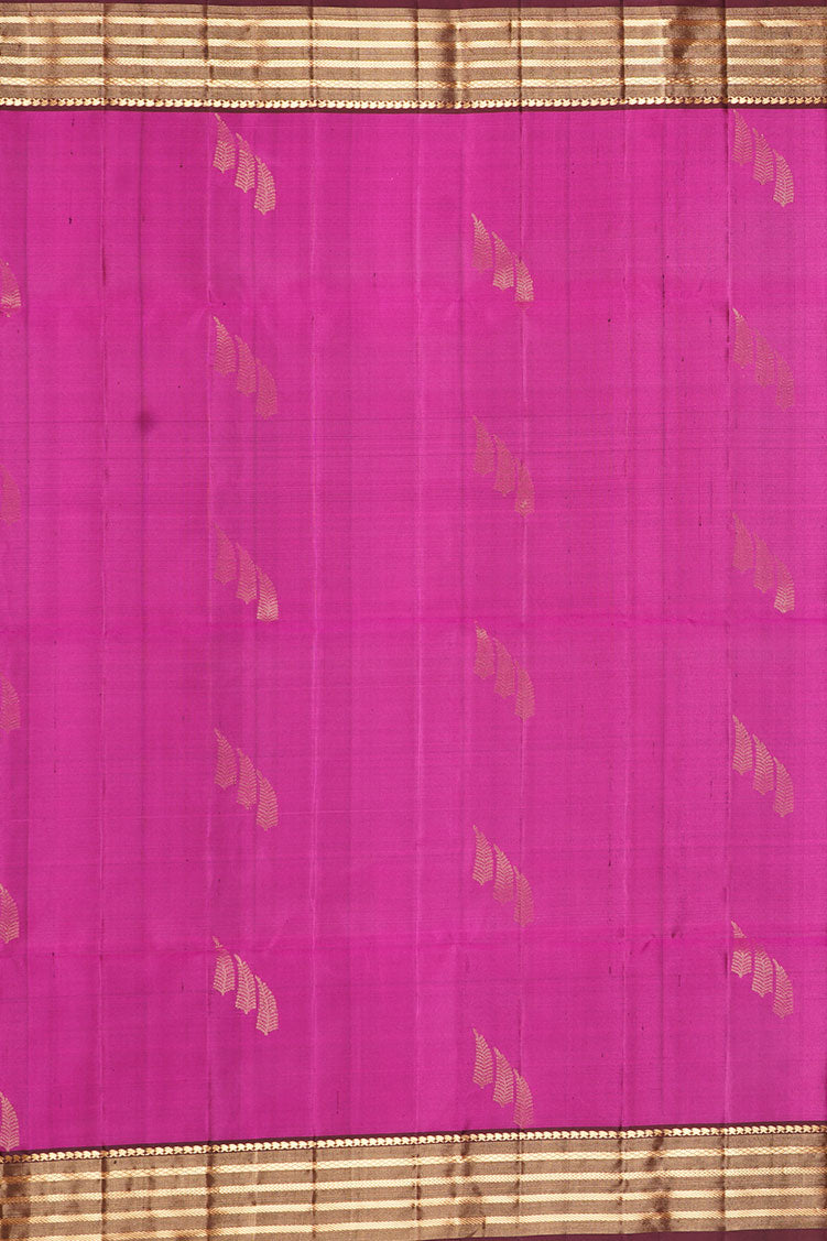 Magenta Pure Soft Silk Saree with Coffee Brown Borders