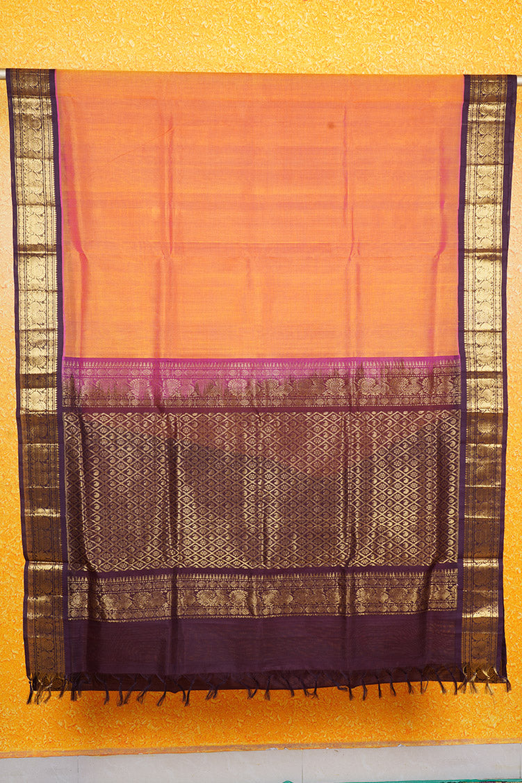 Yellow with Pink Shot Silkcotton Saree with Deep Purple Borders