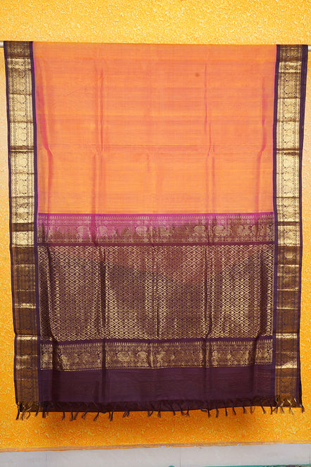 Yellow with Pink Shot Silkcotton Saree with Deep Purple Borders